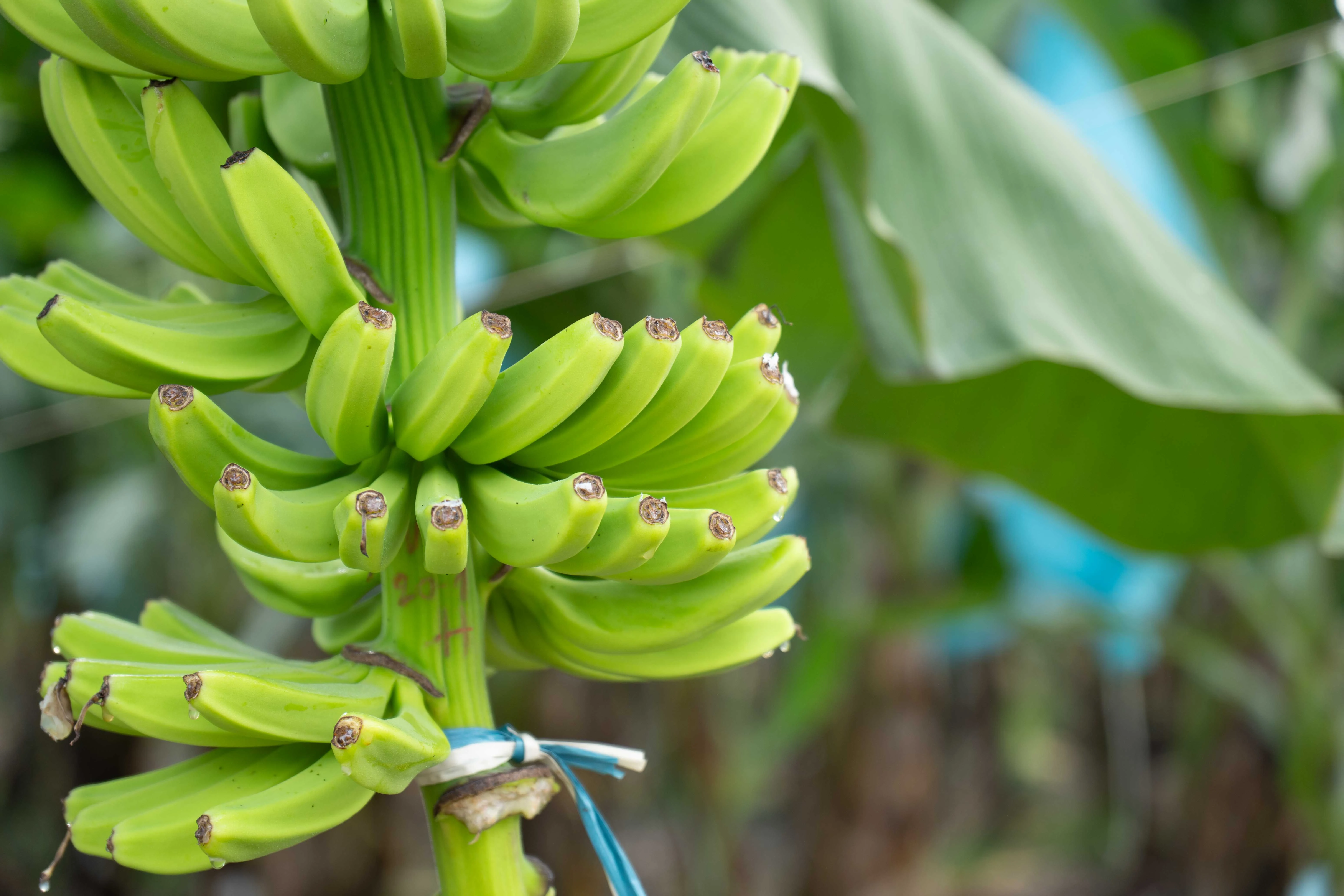Container xuất khẩu