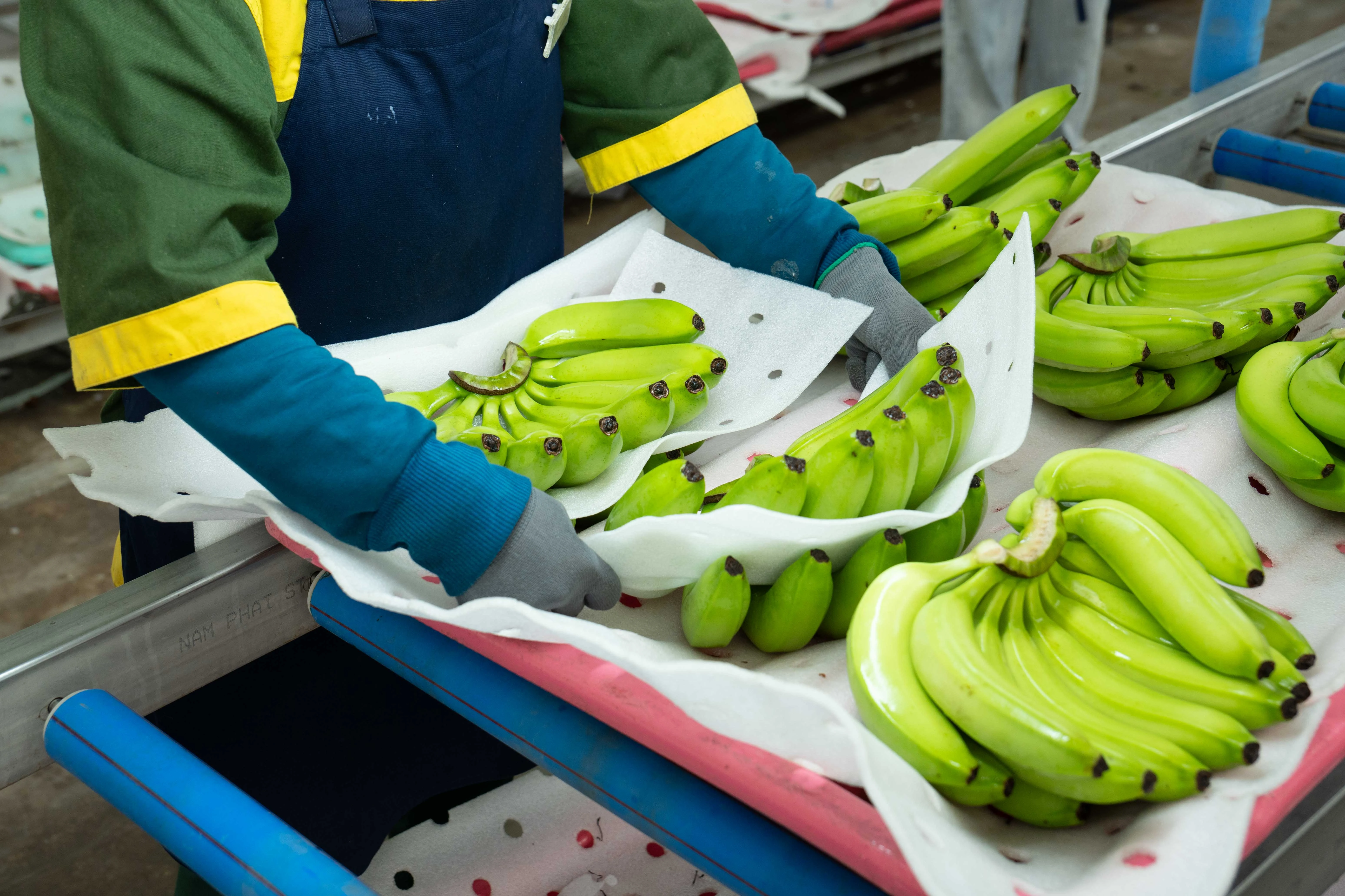 Đóng gói xuất khẩu